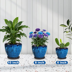 Xoogifae decorative pot in Peacock Blue enhances living spaces