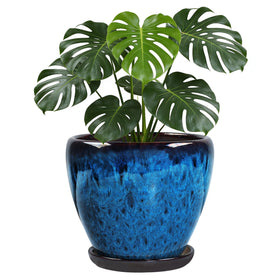 Xoogifae peacock blue glaze plant pot shows vibrant indoor decor.