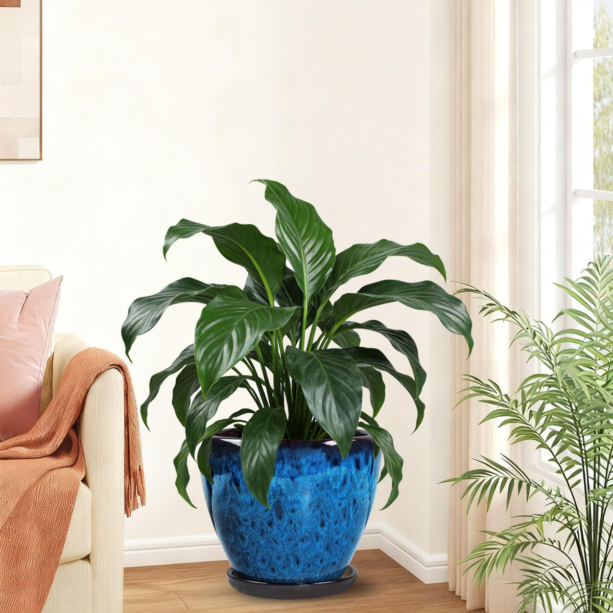 Xoogifae plant pot with drainage hole prevents overwatering.