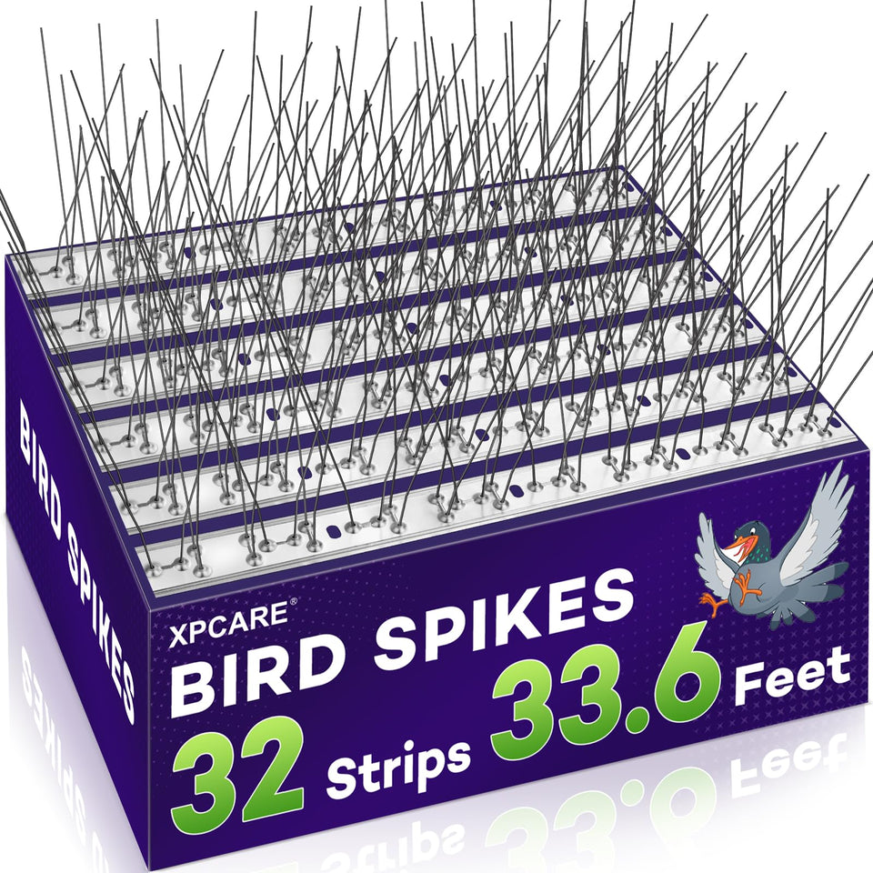 XPCARE bird spikes mounted on a window sill deter birds and mess