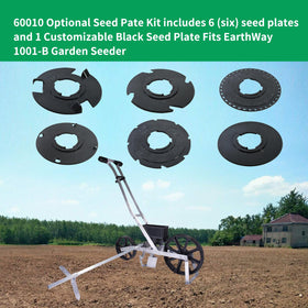 XQK 60010 broccoli seed plate enables compact broccoli spacing and efficient germination.