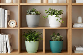 XQSHPDM planter with a matte finish complements modern interiors.