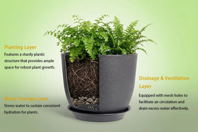 XQSHPDM 8-inch depth supports orchids, succulents, herbs with ample root space.