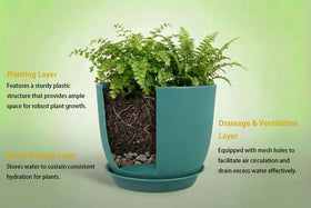 XQSHPDM 8-inch pots offer deep planting space for herbs.