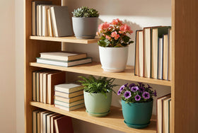 XQSHPDM planters are suitable for indoor offices and homes.