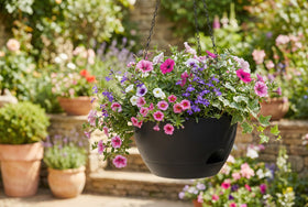 XQSHPDM indoor-outdoor display highlighting durable, lightweight build