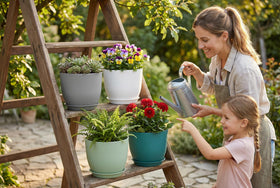 XQSHPDM lightweight yet sturdy design makes moving plants easy.