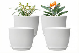XQSHPDM 8-inch pot set with four planters for versatile indoor gardening.