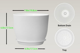 XQSHPDM deep 8-inch trough supports robust root growth.