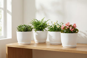 XQSHPDM indoor-outdoor planters suitable for orchids, succulents, and herbs.