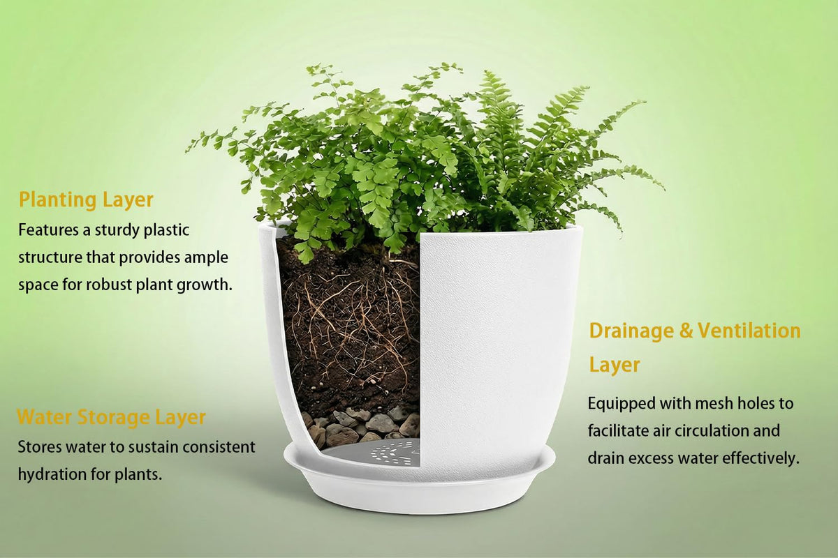 XQSHPDM planters with mesh drainage promote healthy, well-aerated roots.