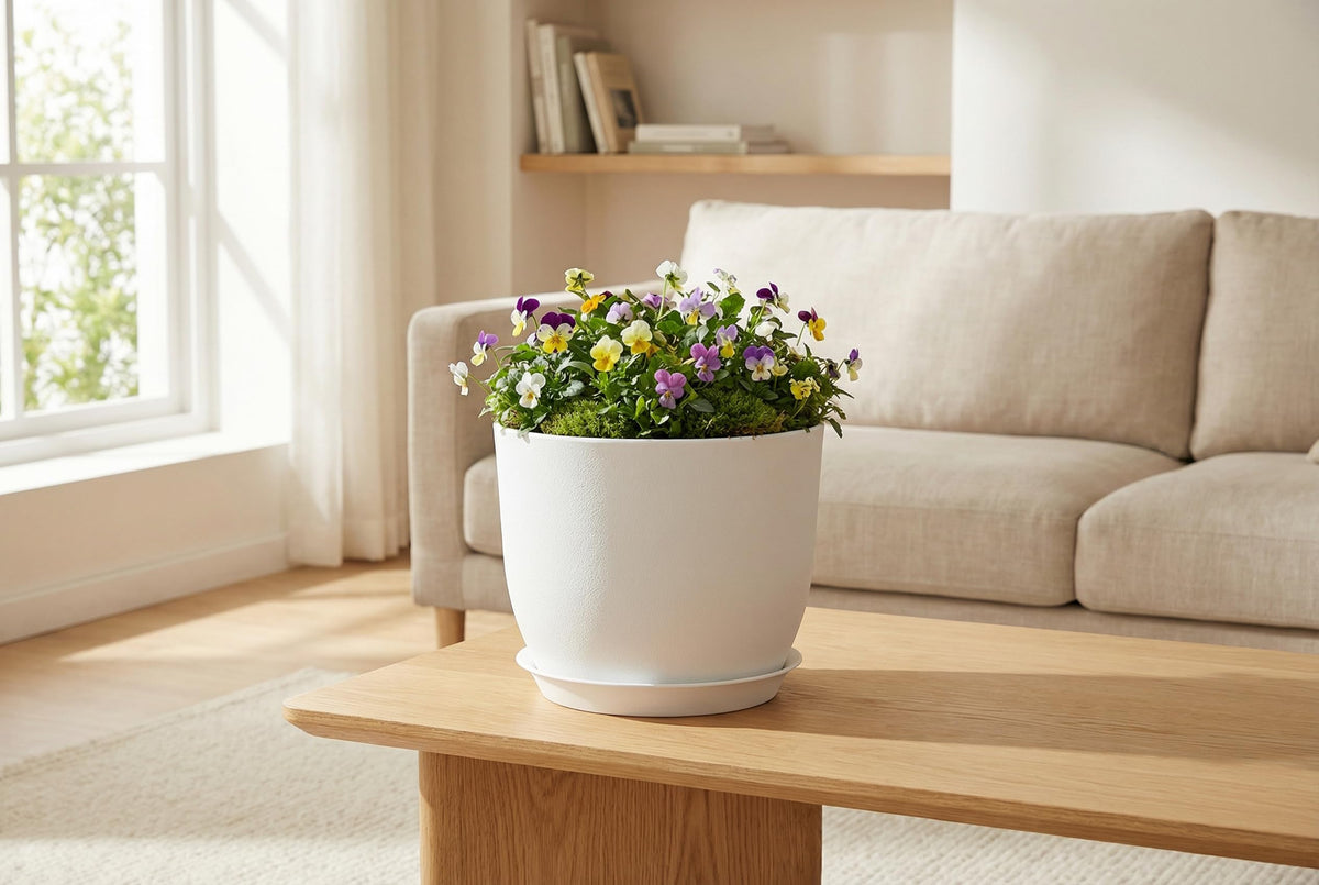 XQSHPDM white plastic planter with drainage holes for better moisture control.