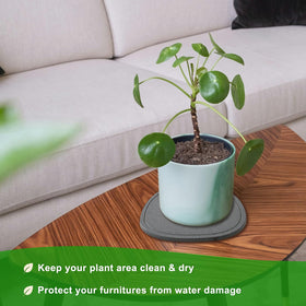 XRzitky plant saucer with non-scratch feet protects countertops.