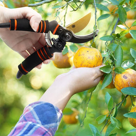 XSBAIHUO pruning shears professional bypass design delivers smooth cuts.