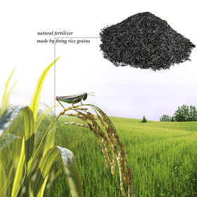 XSOVTOR biochar for plants boosts soil moisture retention.