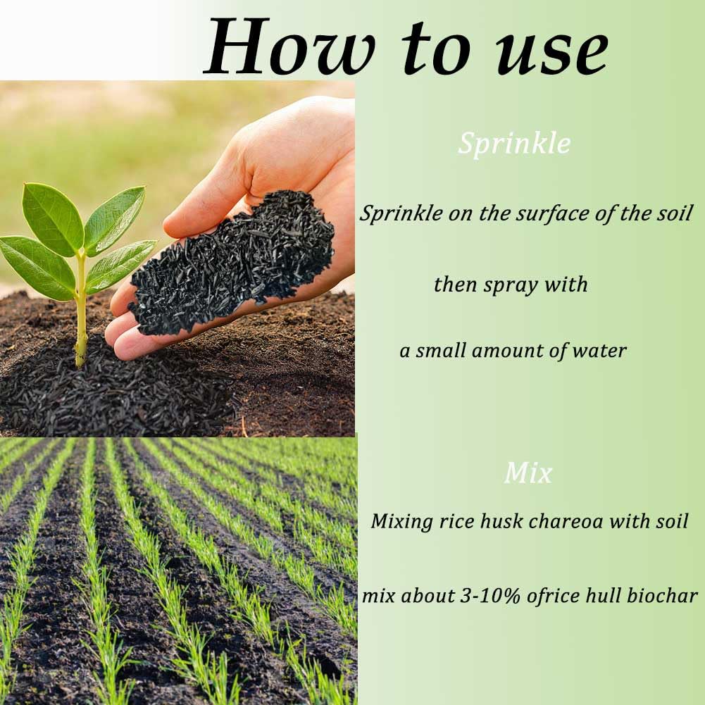 XSOVTOR charcoal for terrariums and plants supports healthy foliage.