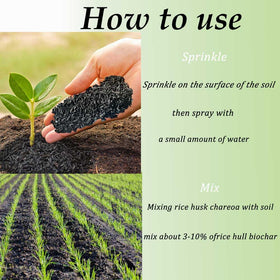 XSOVTOR charcoal for terrariums and plants supports healthy foliage.