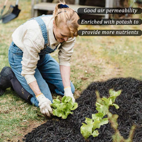 XSOVTOR activated charcoal reduces odors in planted tanks.
