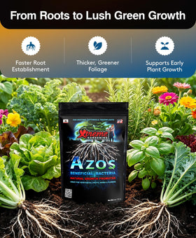 Xtreme Gardening Mykos 1lb bag boosting root mass and nutrient uptake.