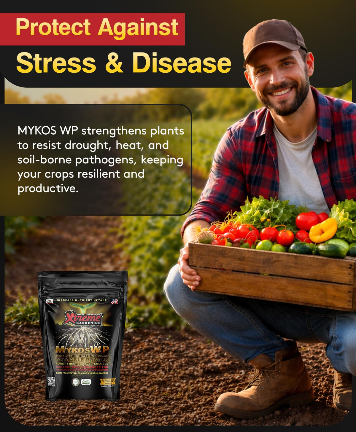 Xtreme Gardening Mykos WP hydroponics use promotes healthy root networks.