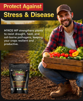 Xtreme Gardening Mykos WP hydroponics use promotes healthy root networks.