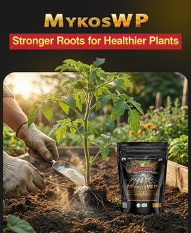 Xtreme Gardening Mykos WP mixing with water shows quick drench prep.