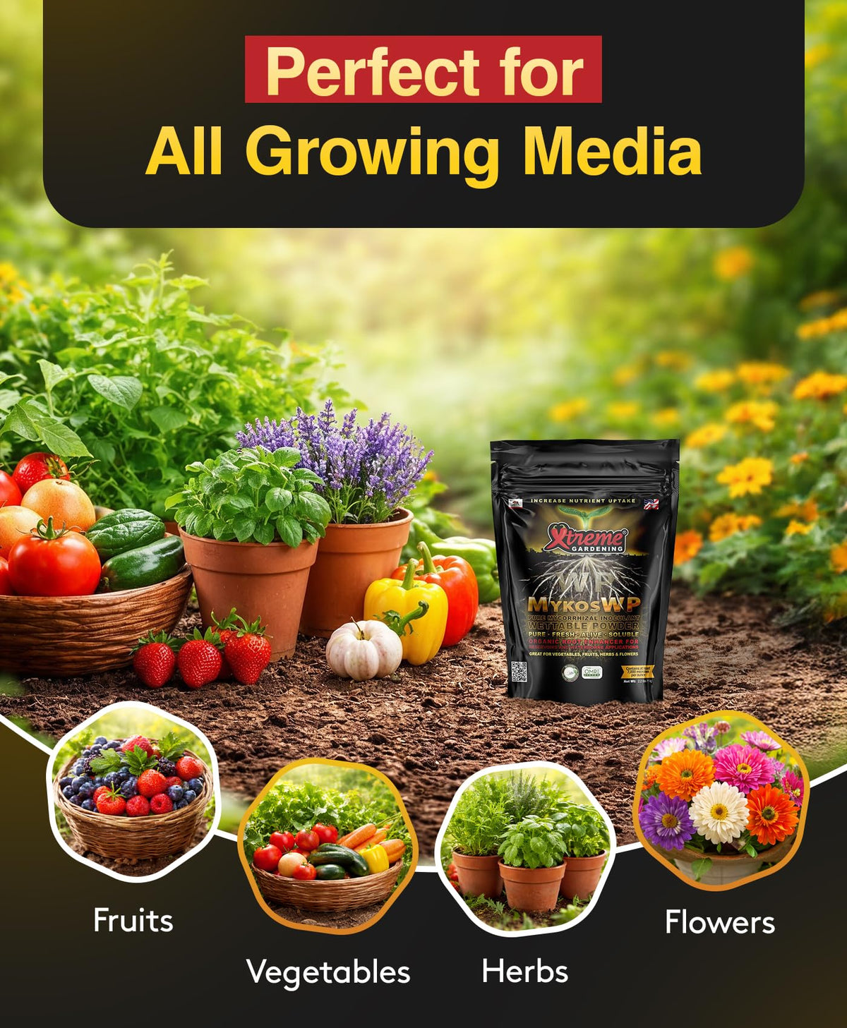 Xtreme Gardening Mykos WP seedling application supports early root growth.