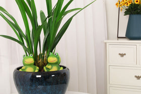 XueshouRT terracotta spike system helps prevent overwatering