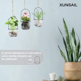XUNSAIL glass vase with wire hanger showcases the glass display