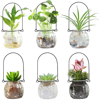 XUNSAIL Terrarium six-pack glass hanging vases for stylish indoor decor