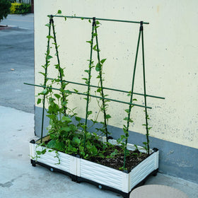 Xuwzenkl tomato, rose, peony, and hydrangea stakes stabilize tender growth.