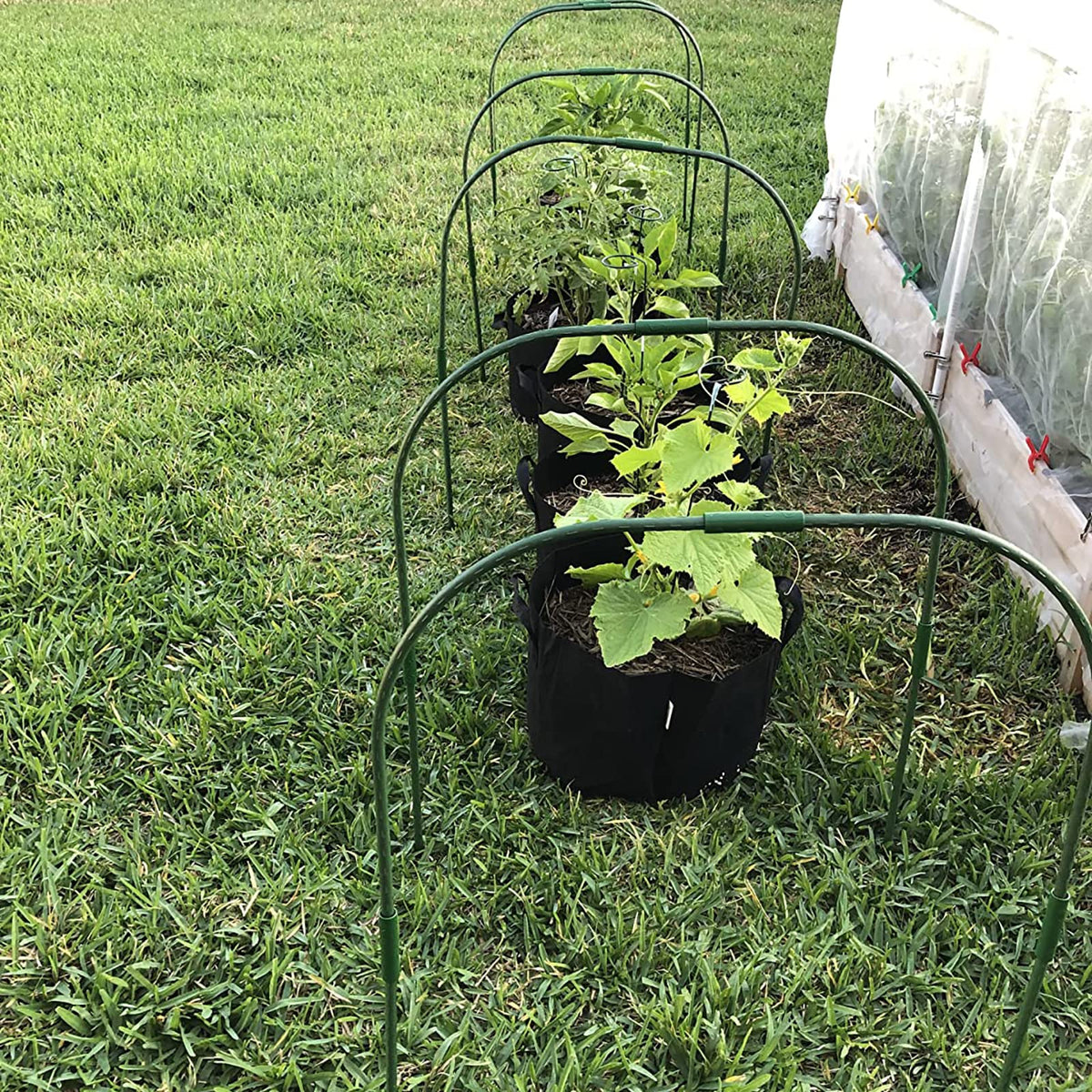 Xuwzenkl Use with plant covers and row nets for protection.