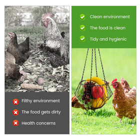 XuYelora hanging chicken feeder with vegetables inside encourages foraging