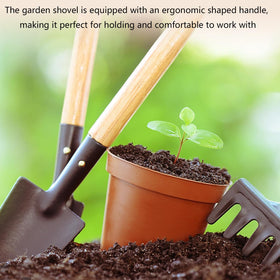 Xvnoesza bonsai and potted plant care tools support precise pruning