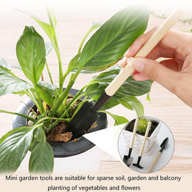 Xvnoesza eco-friendly wooden handles offer durable, comfortable use