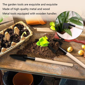 Xvnoesza wooden handle closeup highlighting comfortable grip