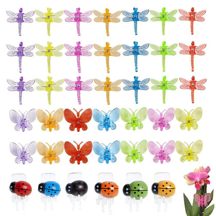 XVYLFZNP butterfly clip supports orchid spikes while adding color and shape.