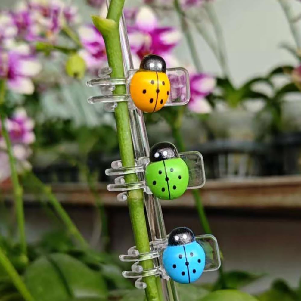 XVYLFZNP colorful vine clips help guide growth for tomatoes and beans.