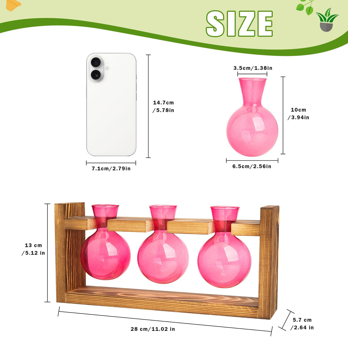XXXFLOWER 3-bulb glass terrarium shows root growth and hydroponic potential.