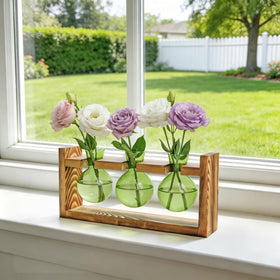 XXXFLOWER clear glass bulbs for easy plant care observation