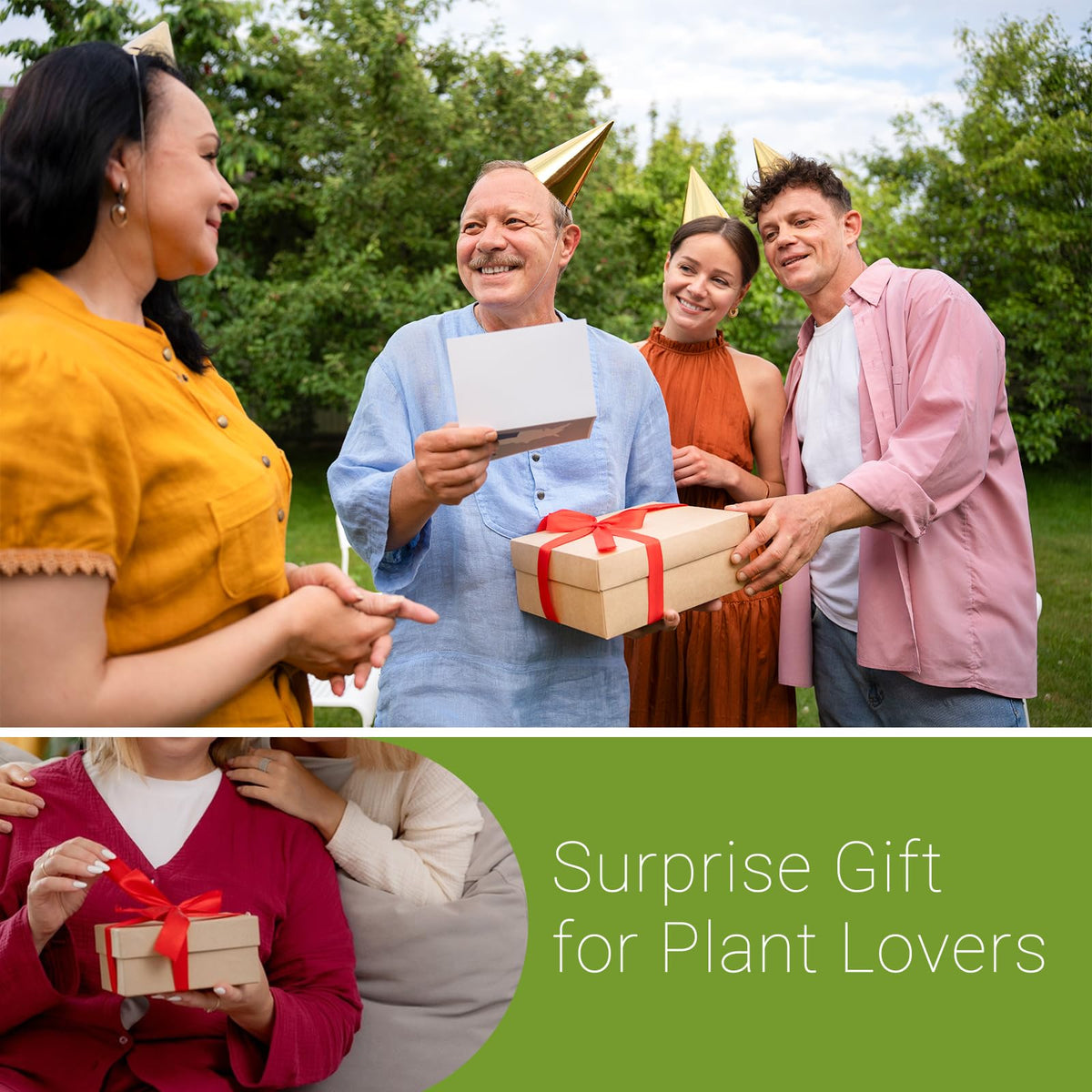 XXXFLOWER gift-ready propagation station for plant lovers