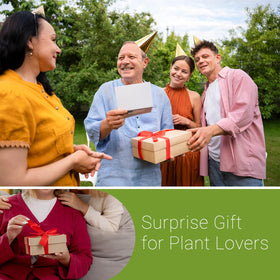 XXXFLOWER gift-ready propagation station for plant lovers