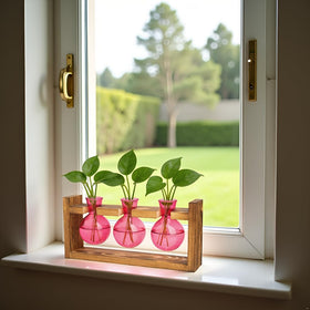 XXXFLOWER gift-ready terrarium for plant lovers on special occasions.