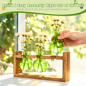 XXXFLOWER glass bulbs interior view revealing plant roots