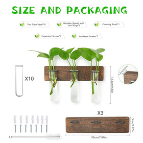 XXXFLOWER glass propagation tubes showcase roots while providing bright light exposure.