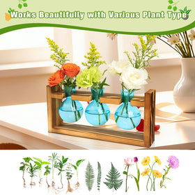 XXXFLOWER hydroponics ready vase supports compact indoor gardening setup
