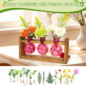 XXXFLOWER hydroponics-ready design promotes compact indoor gardening.