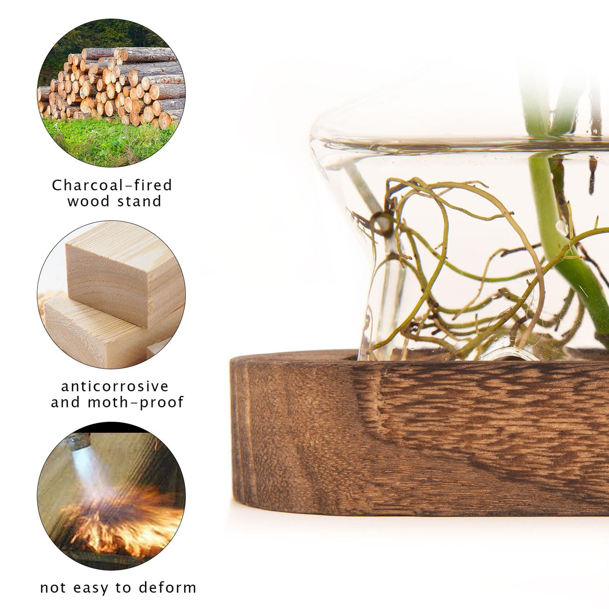 XXXFLOWER indoor garden display adds a natural focal point on a shelf.