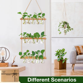 XXXFLOWER natural retro wood color frame blends with decor while showcasing greenery