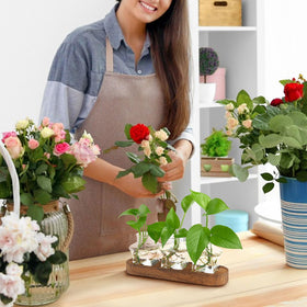 XXXFLOWER plant cuttings propagation jar ideal for rooting and growth tracking.